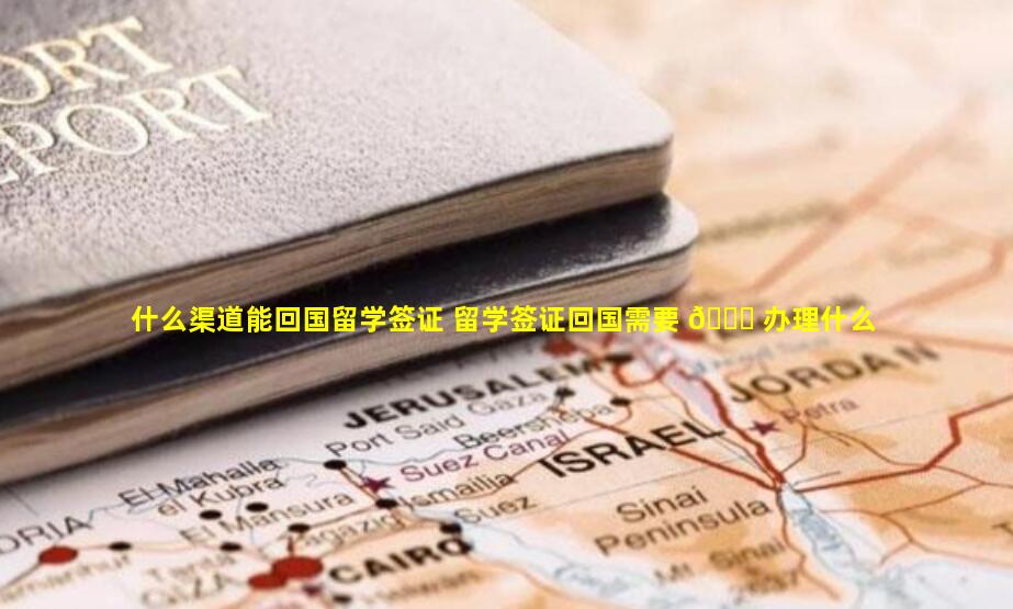 什么渠道能回国留学签证 留学签证回国需要 🐒 办理什么